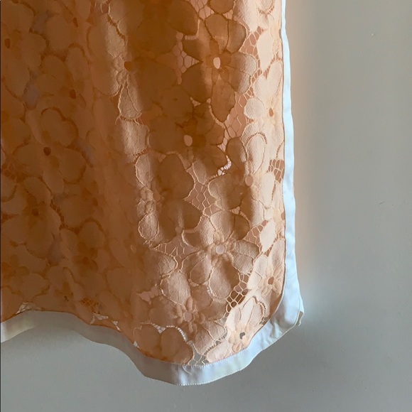 Shift Dress - Picture 3 of 3